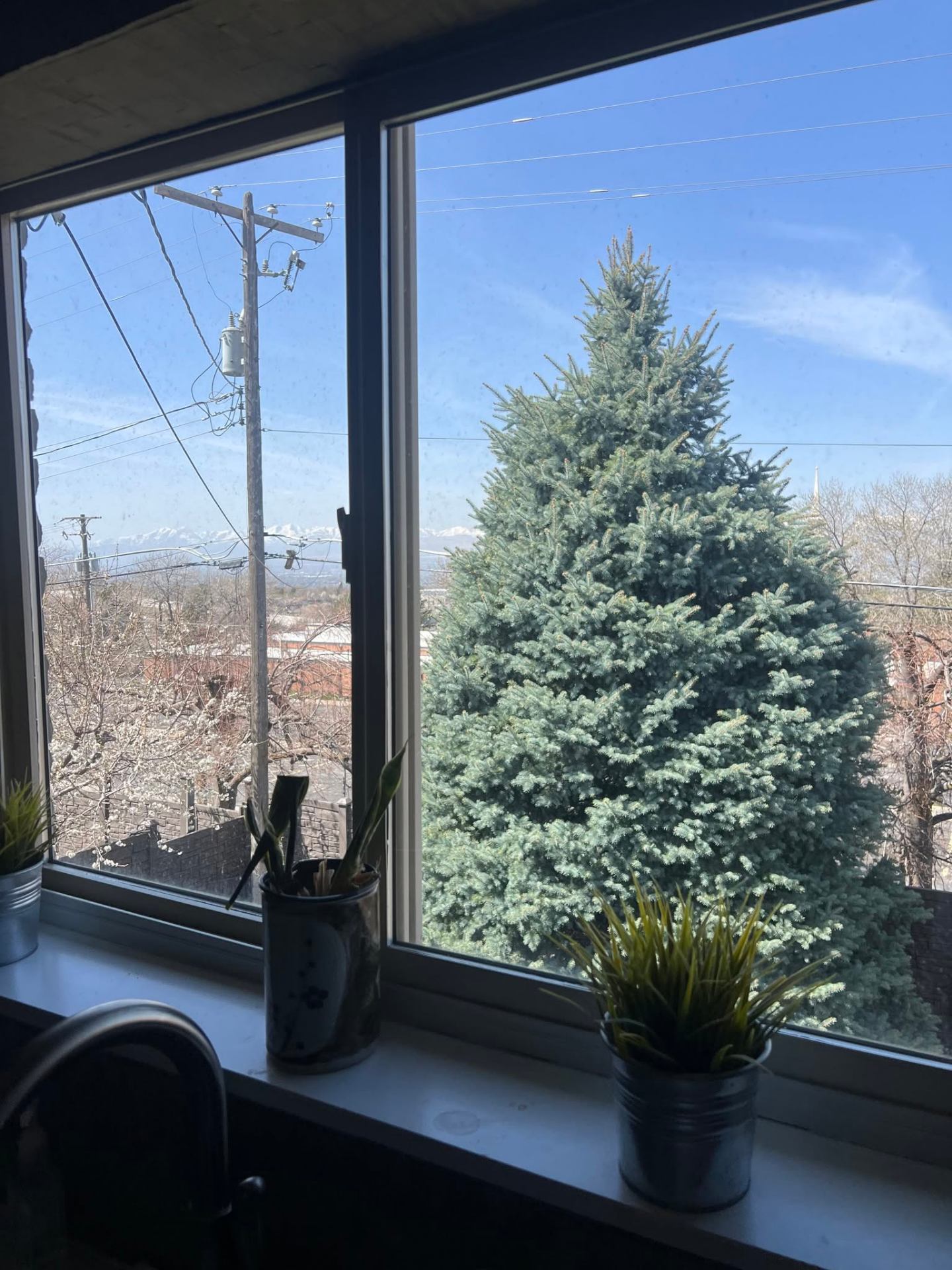 Spotless Giraffe Washing - Salt Lake City window cleaning result