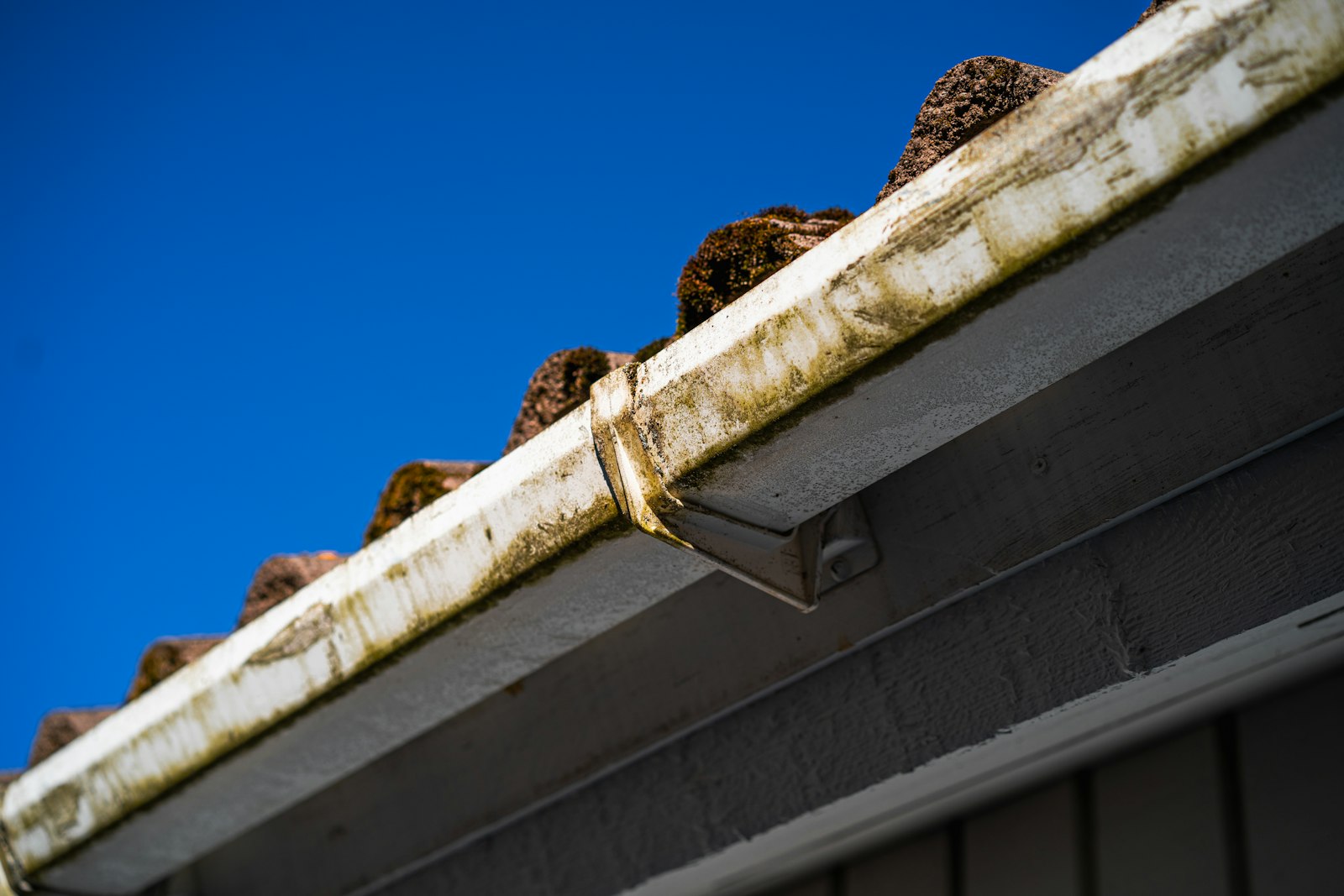 Clean gutters cleared of leaves by Spotless Giraffe Washing in Salt Lake City, UT